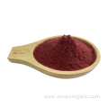 Nutritional Supplement Organic Beet Root Juice Powder